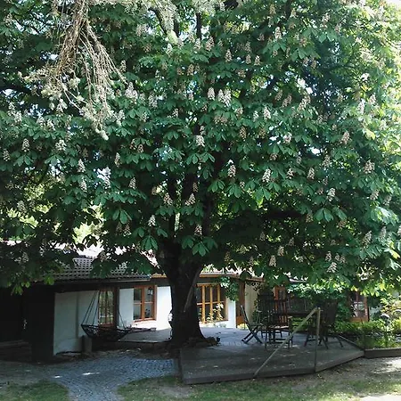 Kastanienhof Alvern Целле